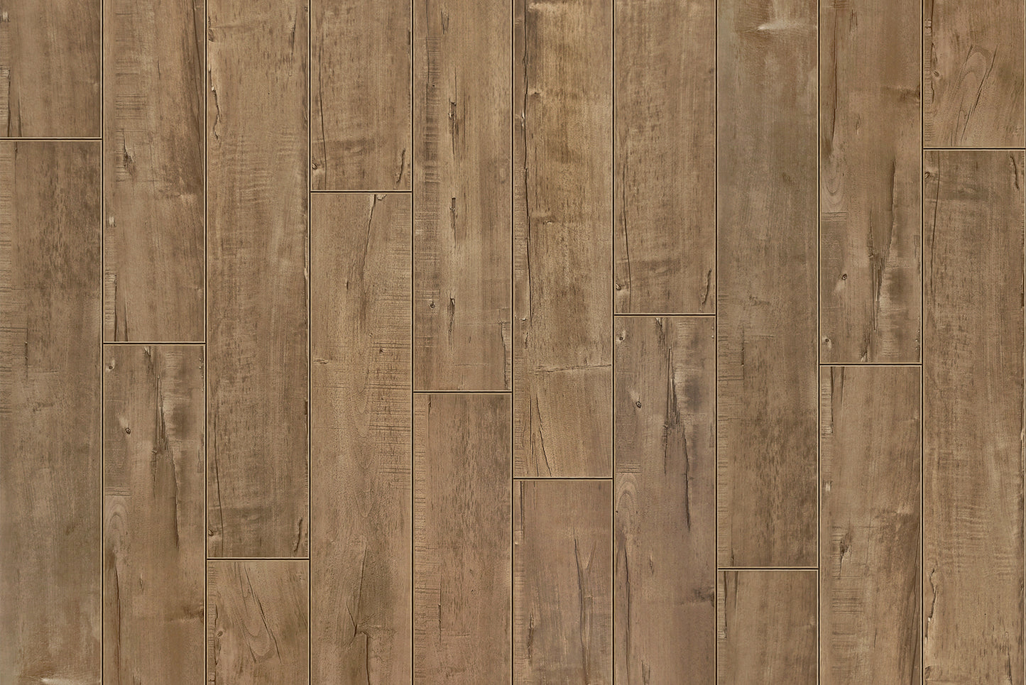 Laminate Flooring Garrison Collection - Azul Waters - Sea Shell