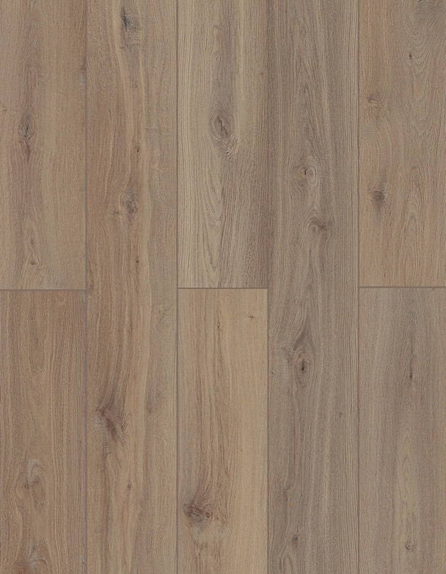 Colección de pisos SPC Lion - Lone Star Spirit XL - Shangri La LI-TS206