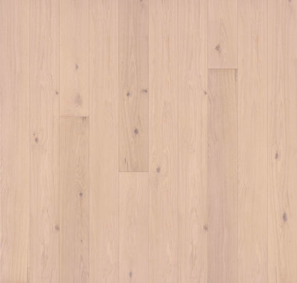 Engineered Hardwood Garrison Collection - Allora - Aria