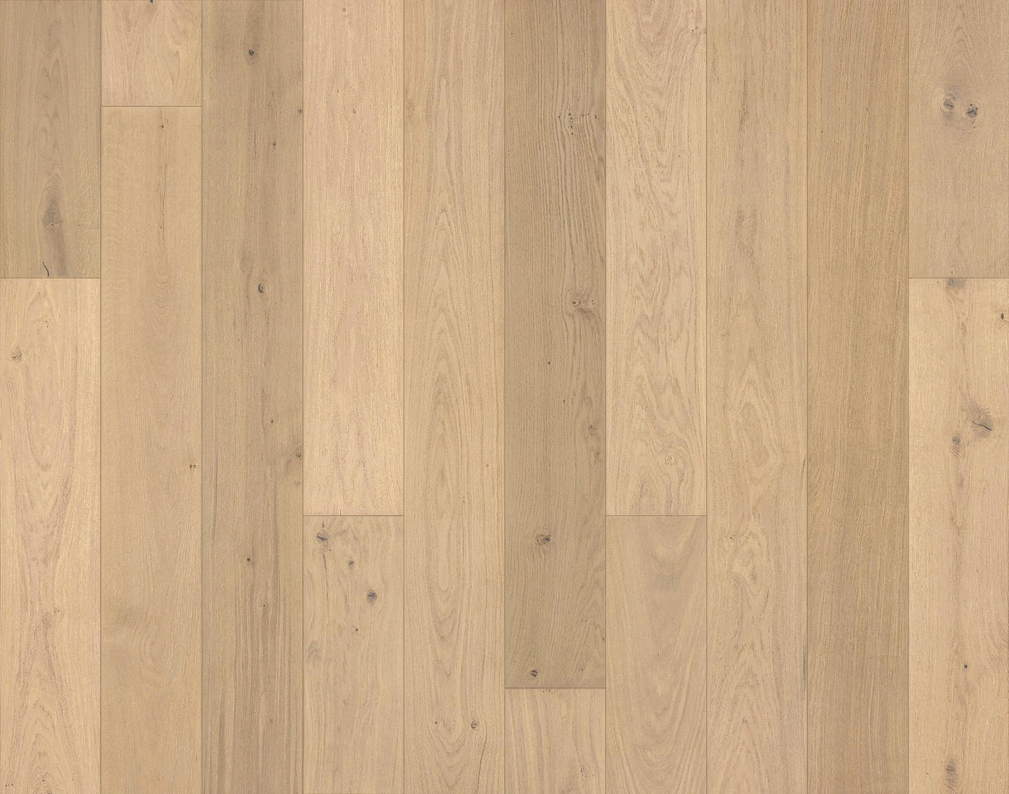 Engineered Hardwood Garrison Collection - Da Vinci - European Oak Marcello