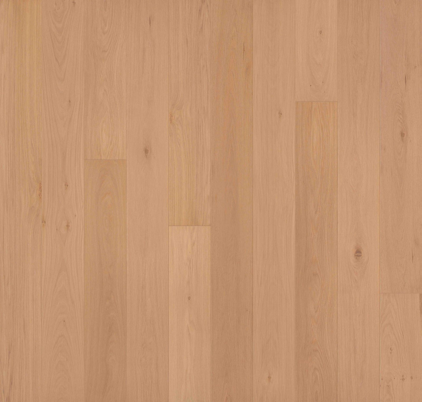 Engineered Hardwood Garrison Collection - Allora - Doma