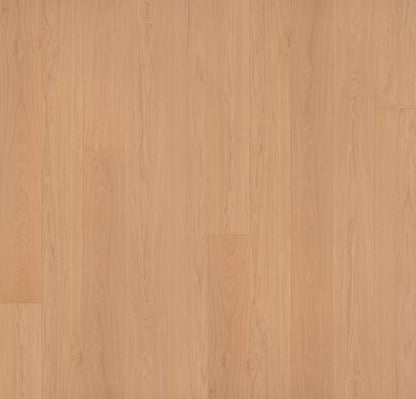 Engineered Hardwood Garrison Collection - Allora - Doma Select