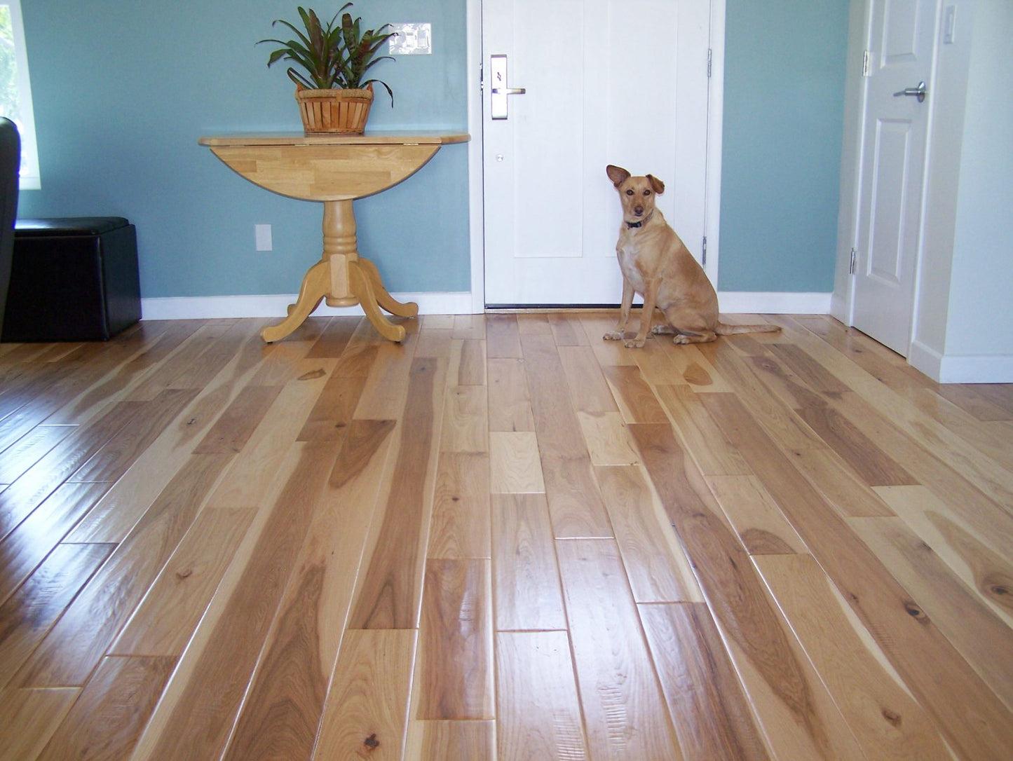 Engineered Hardwood Garrison Collection - Garrison II Distressed - Hickory Natural - Distressed