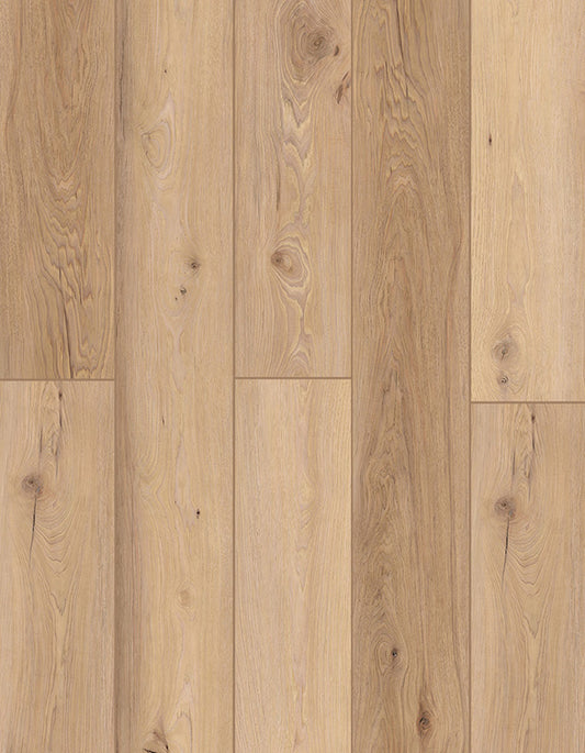 SPC Lion Flooring Collection - Indoor Delight - Homewood Waltz LI-ID14