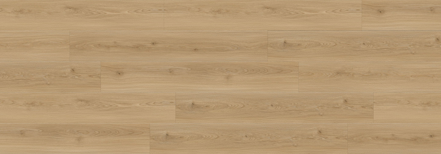 SPC Flooring Republic Flooring - WoodMax Bear Woods Collection - REBW9030 Bianco Romano