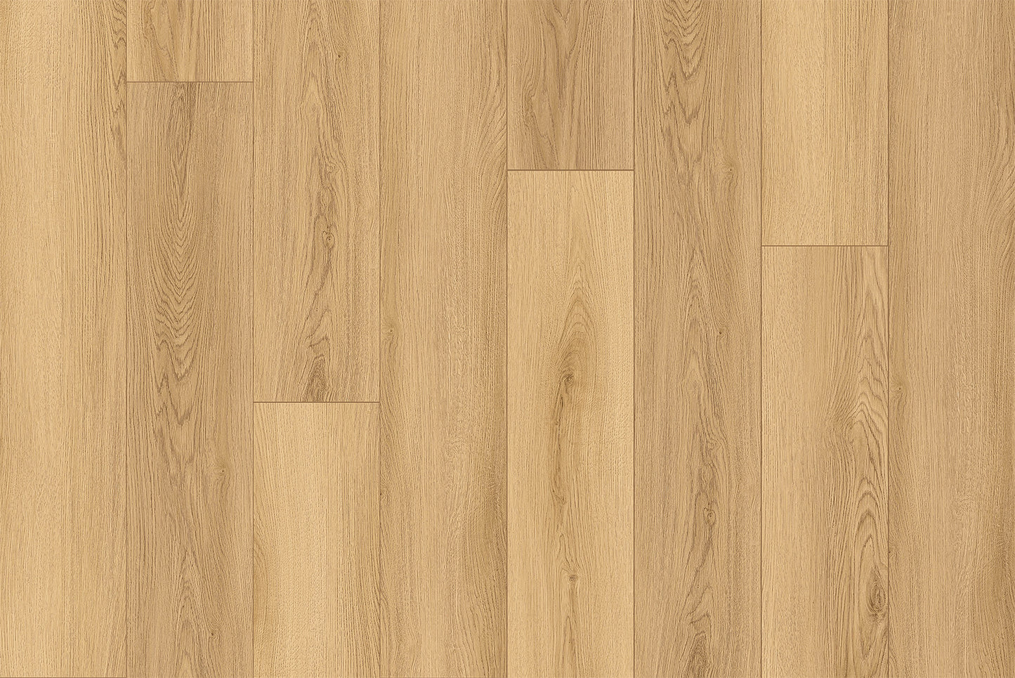 Laminate Flooring Garrison Collection - Illumin8 - Flash