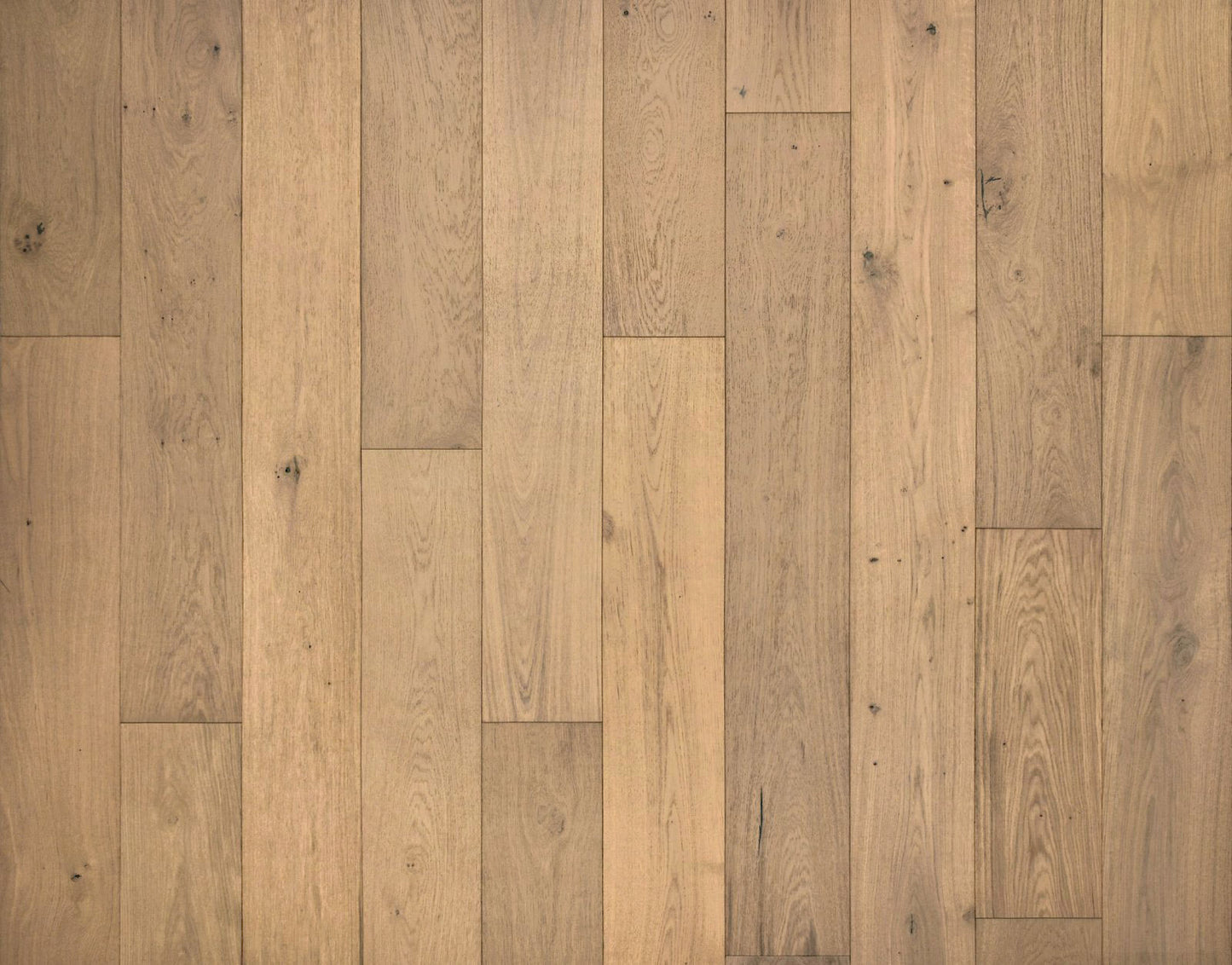 Engineered Hardwood Garrison Collection - Newport - European Oak Shell Beach