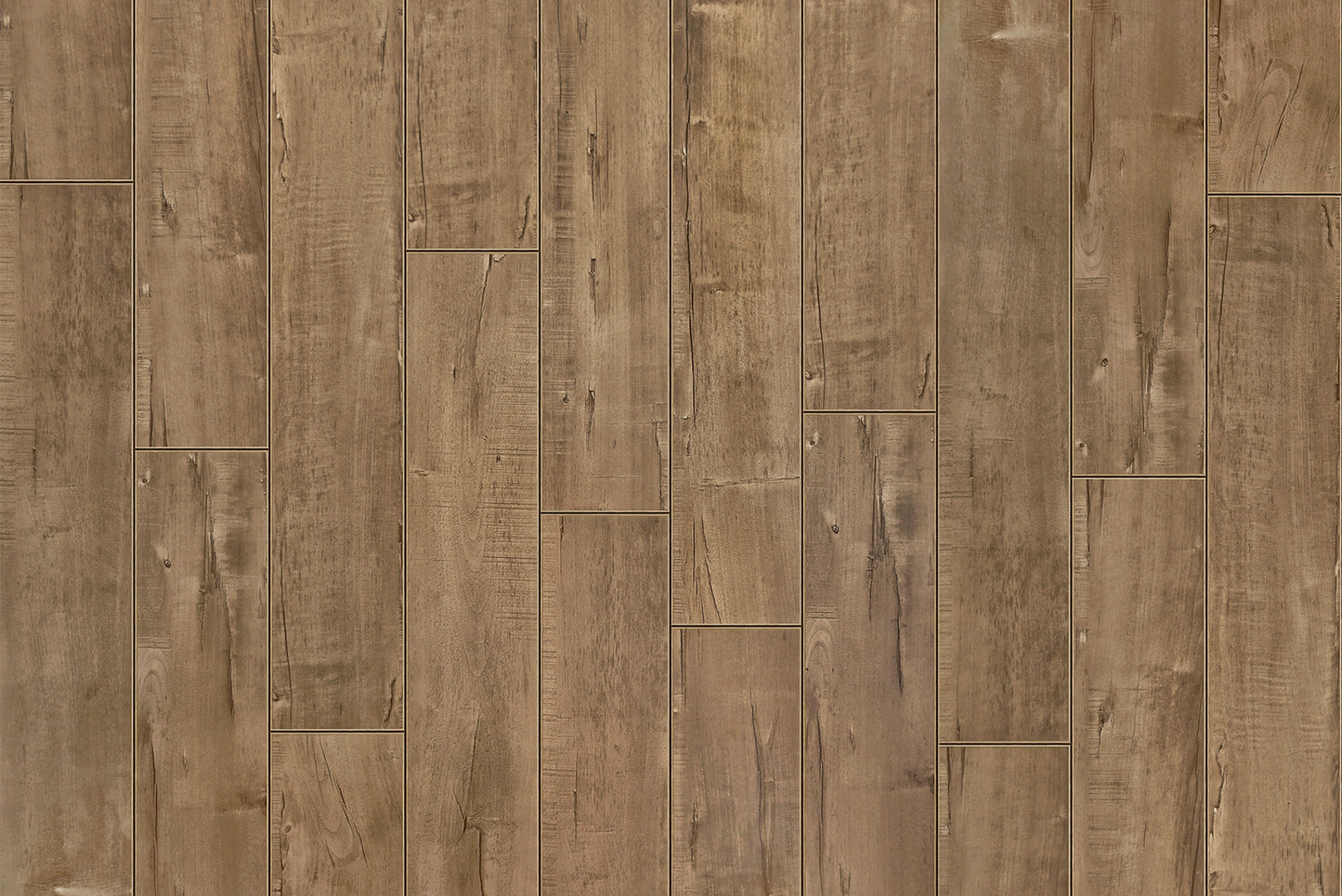 Laminate Flooring Garrison Collection - Azul Waters - Sea Shell