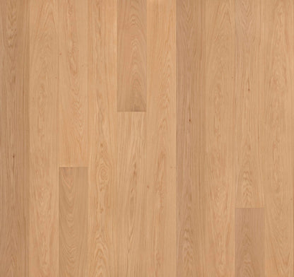 Engineered Hardwood Garrison Collection - Allora - Sella Select