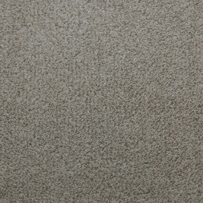 Carpet Diamond W Tarkett - Whisper - Assurance 13370