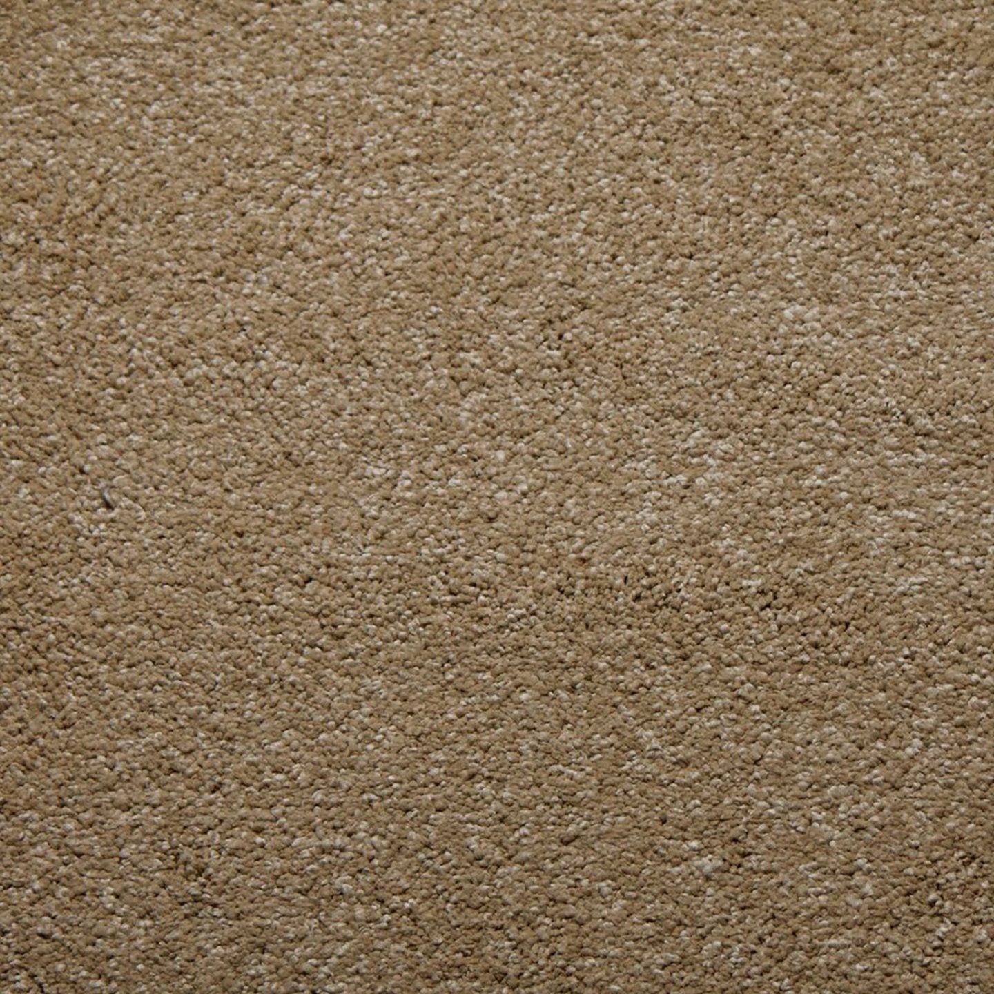 Carpet Diamond W Tarkett - Whisper - Camel 50341