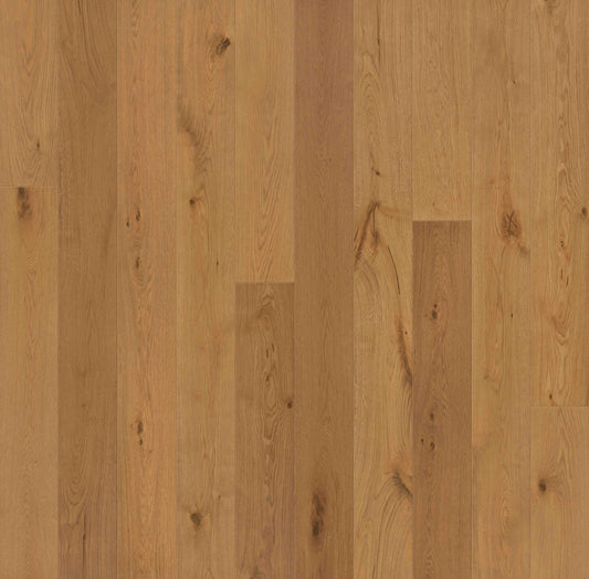 Engineered Hardwood Garrison Collection - Allora - Volto