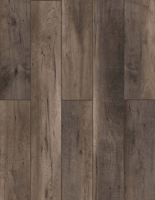 SPC Lion Flooring Collection - Bambino - Cliffside Oak BB-XIV