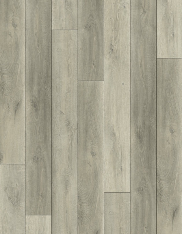 SPC Lion Flooring Collection - Bambino - Rivoli BB-VII