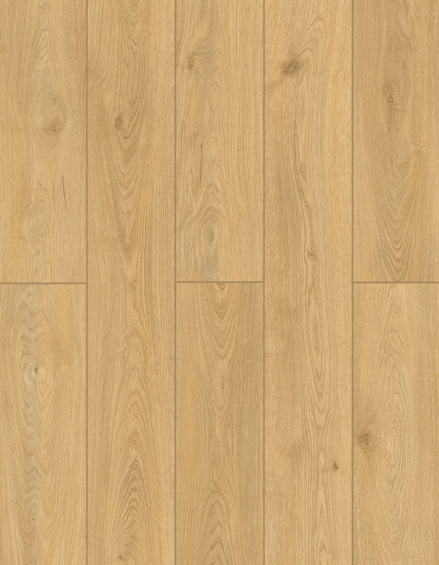 SPC Lion Flooring Collection - Bambino - Timber Glaze BB-X