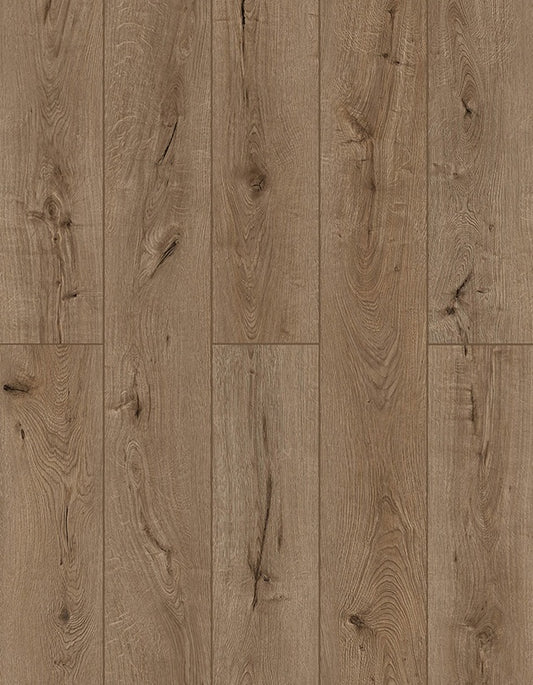 SPC Lion Flooring Collection - Lone Star Spirit XL - Forgotten Bark LI-TS205