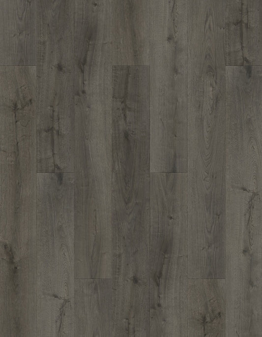 SPC Lion Flooring Collection - Bambino - Damien BB-V