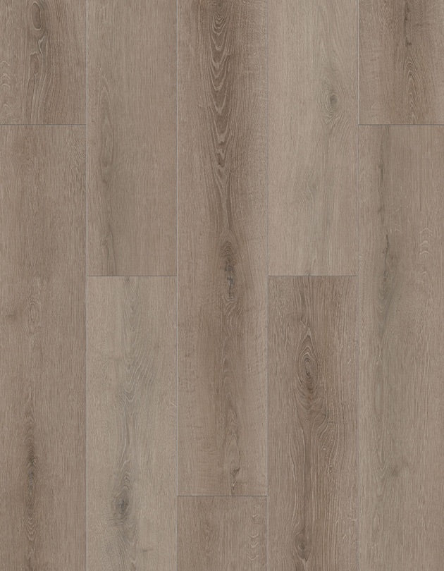 SPC Lion Flooring Collection - Bambino - Coffee Feather BB-VI