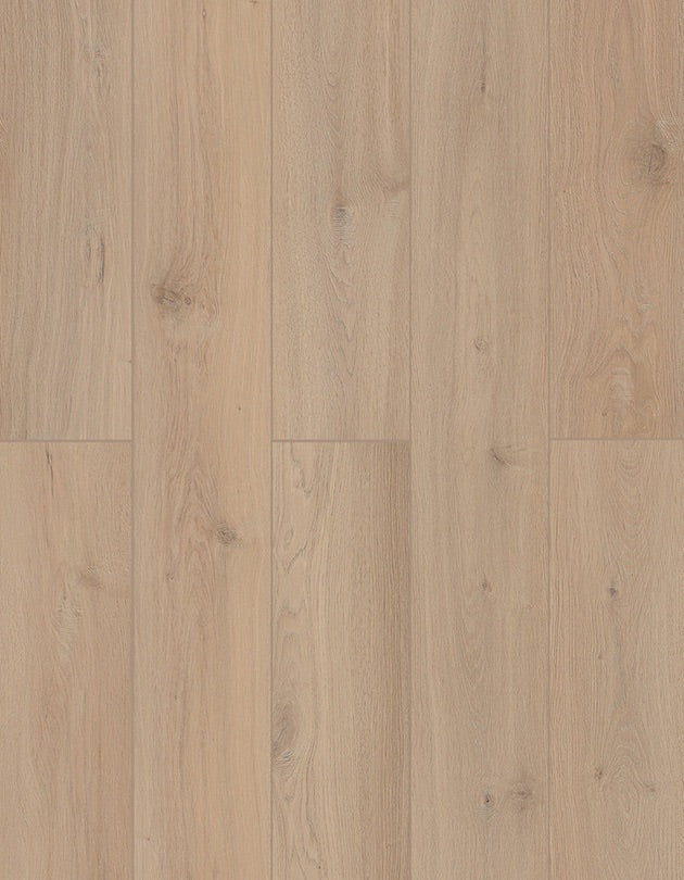 SPC Lion Flooring Collection - Lone Star Spirit XL - Sea Shell LI-TS207