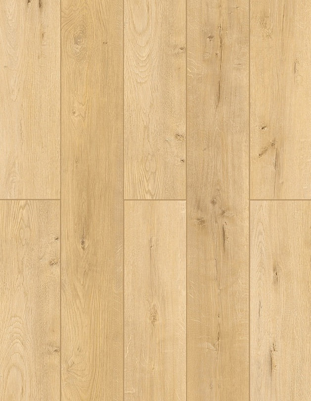 SPC Lion Flooring Collection - Lone Star Spirit - More Mesa LI-TS104